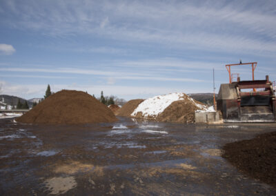 Large Variety of Wholesale Bark Mulch Products
